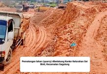 Miris! Kegiatan Pemotongan Lahan dan Penimbunan Mangrove di Sagulung Diduga Ilegal