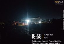Hindari Sorotan, Pemotongan Lahan di Sei Binti Untuk Menimbun Mangrove Dikerjakan Malam Hari