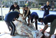 Semangat Idul Adha 1447 H, Lapas Batam Sembelih 8 Hewan Qurban
