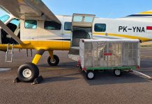 Jaga Ketersediaan Air Baku Batam, BP Batam Siapkan Operasi Modifikasi Cuaca